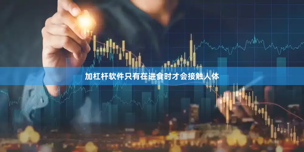 加杠杆软件只有在进食时才会接触人体