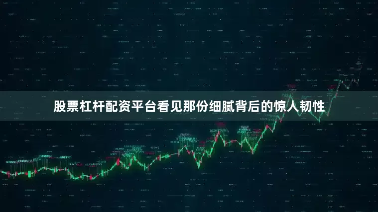 股票杠杆配资平台看见那份细腻背后的惊人韧性