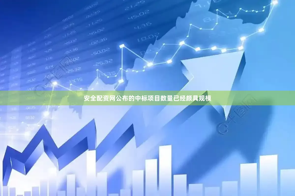 安全配资网公布的中标项目数量已经颇具规模